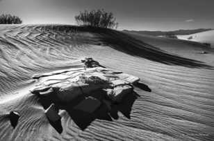 Mesquite Dunes-9814